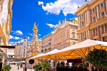 Private bike tour of Vienna with top attractions and nature
